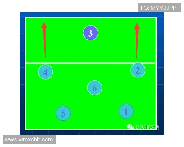 赛后分析：杭州与武汉排球队速度对比及战术探讨